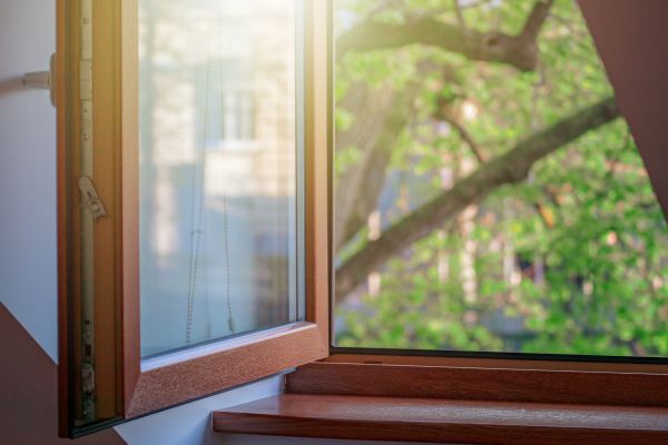 Wooden Window Repair